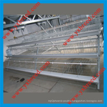 Big Capacity 3 Tiers Super Layer Cage